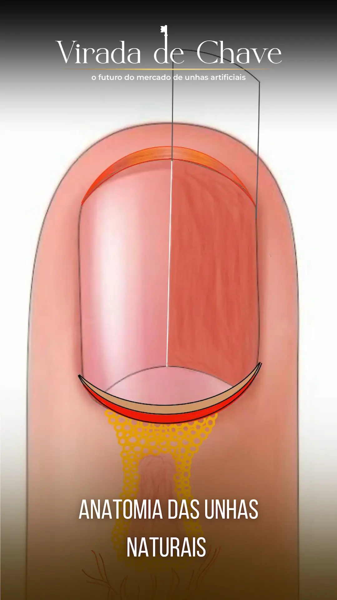 imagens para cronogroma_page-0004